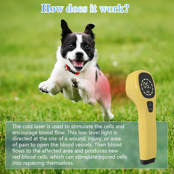 KTS® Pet Handheld Cold Laser Therapy Device