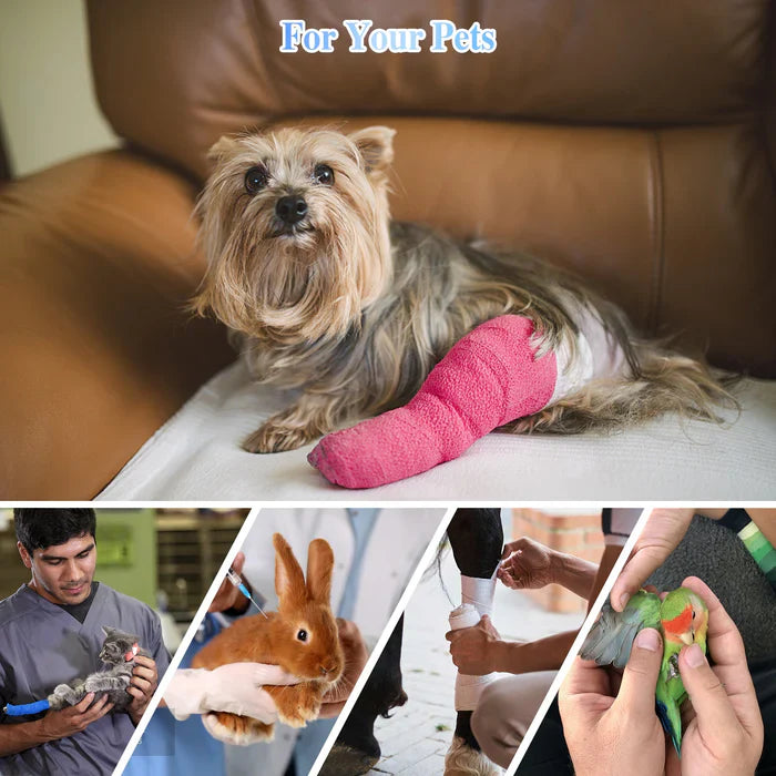 KTS® Pet Handheld Cold Laser Therapy Device