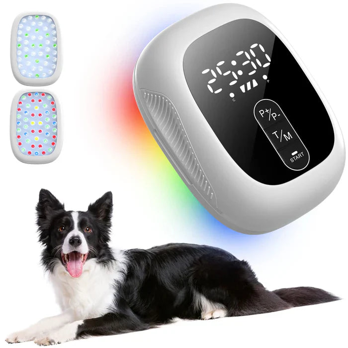 KTS® Pet Cold Laser Therapy Device